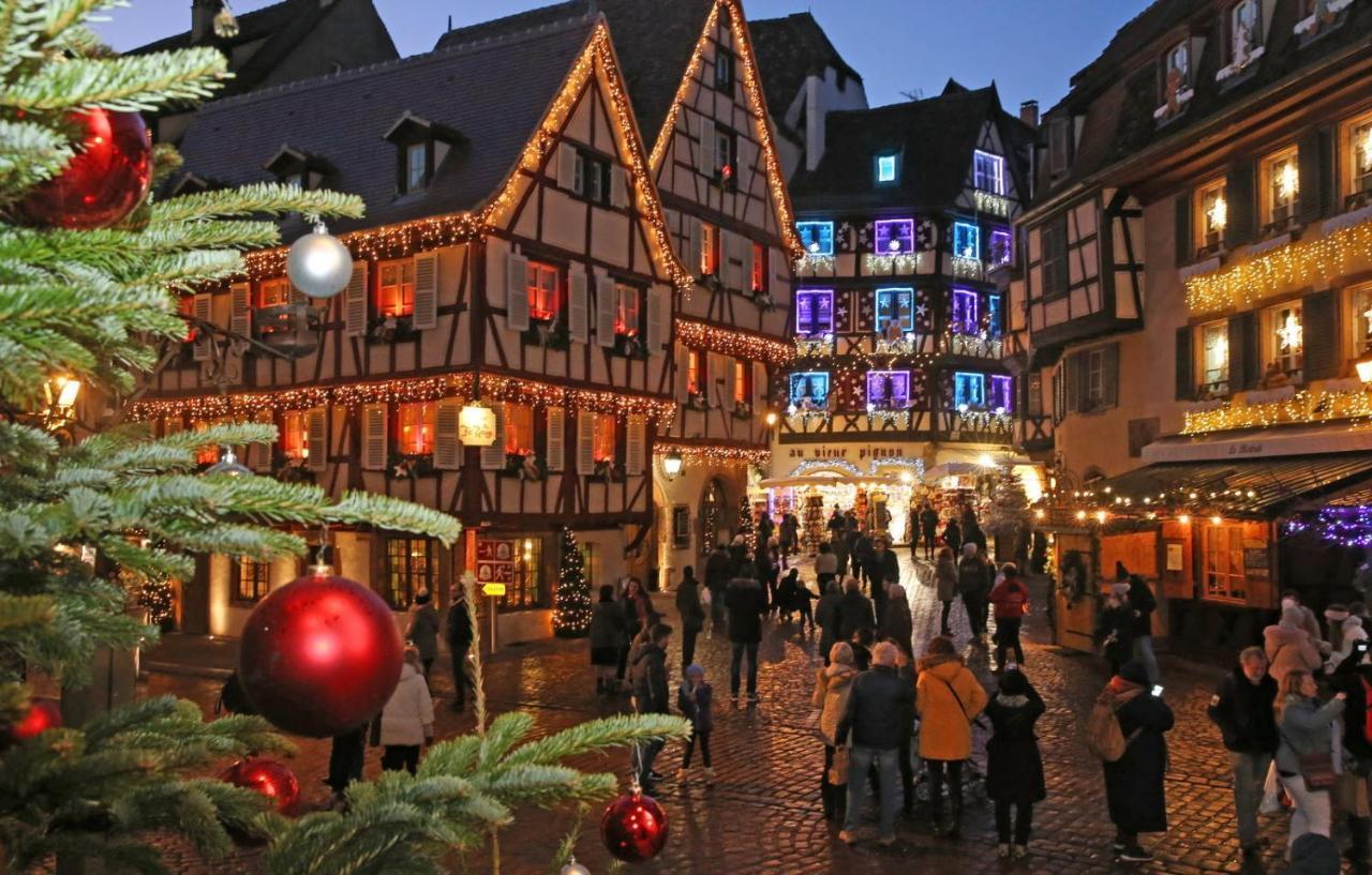 Gite Du Figuier 4 A 6 Personnes Selestat Centre-Alsace Экстерьер фото