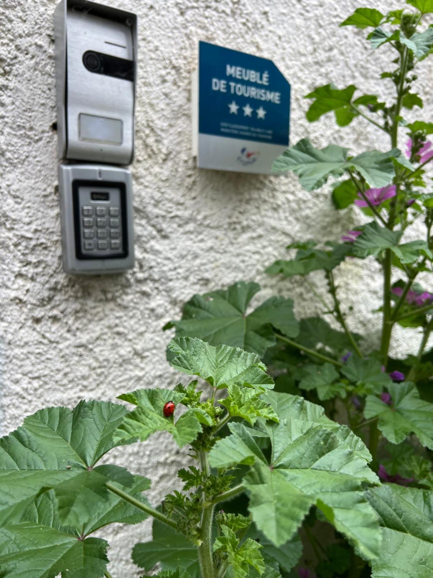 Gite Du Figuier 4 A 6 Personnes Selestat Centre-Alsace Экстерьер фото