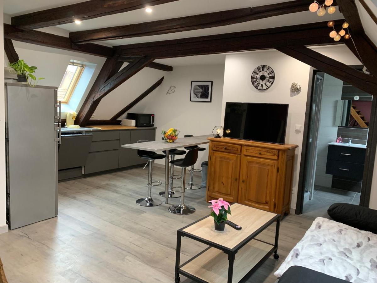 Gite Du Figuier 4 A 6 Personnes Selestat Centre-Alsace Экстерьер фото